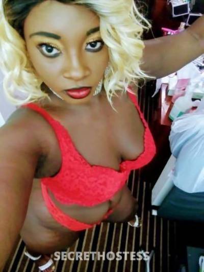 BlackBarbie 31Yrs Old Escort 165CM Tall Tampa FL Image - 1