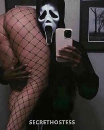 27 year old Escort in Denver CO out call fun avalible