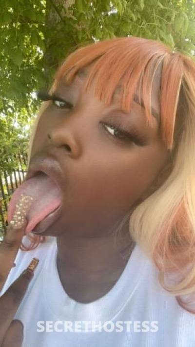 Coco 26Yrs Old Escort Huntsville AL Image - 1