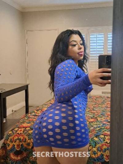 Sexy Curvy Asian Latina . Cum and enjoy the best experience  in Concord CA