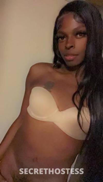 Goodpussy 24Yrs Old Escort Indianapolis IN Image - 1