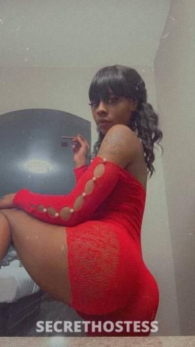 Kamonee 23Yrs Old Escort North Mississippi MS Image - 2