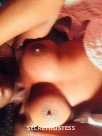 Kimmy 27Yrs Old Escort Long Island NY Image - 0