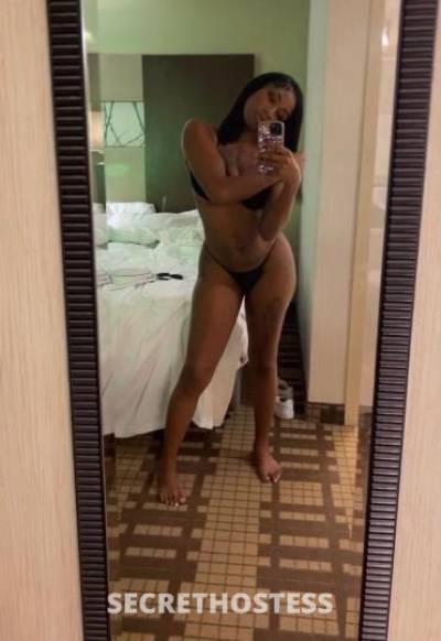 Lyly 22Yrs Old Escort Wilmington DE Image - 1