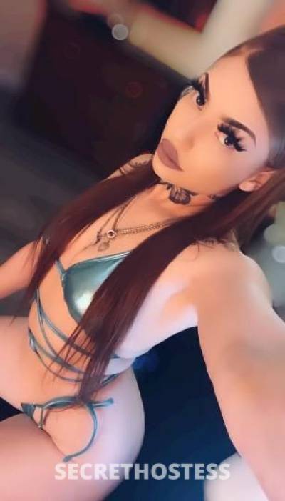 Maddy🌹 24Yrs Old Escort 167CM Tall San Gabriel Valley CA Image - 1