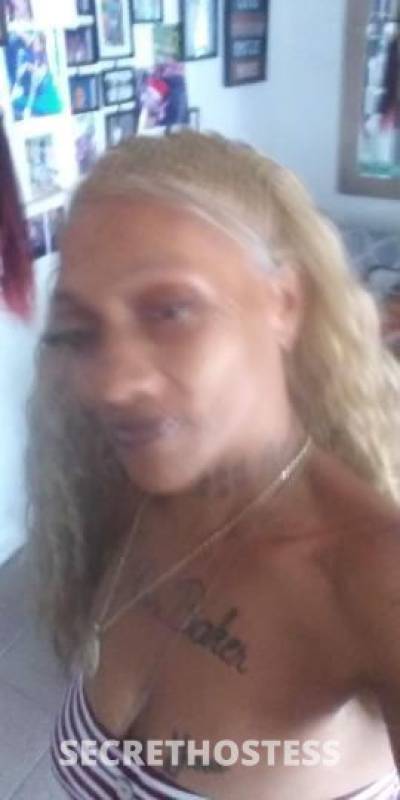 Ms 47Yrs Old Escort Tampa FL Image - 2