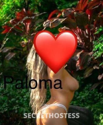 Paloma 35Yrs Old Escort Fort Lauderdale FL Image - 0