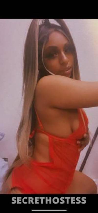 Sugar 22Yrs Old Escort San Francisco CA Image - 2