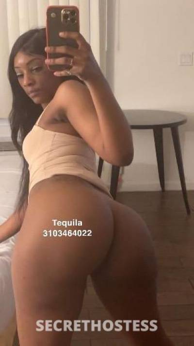 Tequila/MissDesirable 24Yrs Old Escort San Fernando Valley CA Image - 0