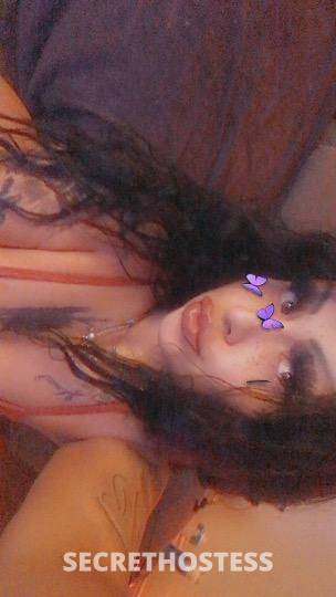 Jamie 26Yrs Old Escort Ogden UT Image - 1