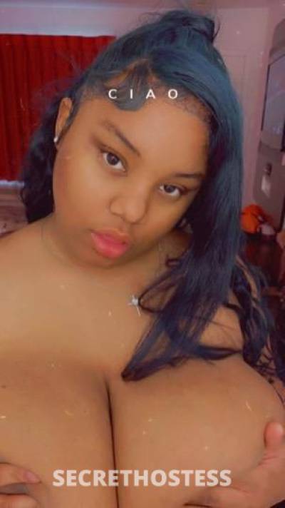 💕Honest🥛🐾 18Yrs Old Escort Dallas TX Image - 2