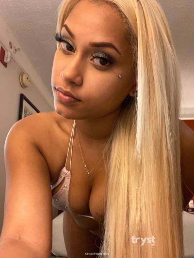 20 Year Old American Escort Houston TX Brunette - Image 2