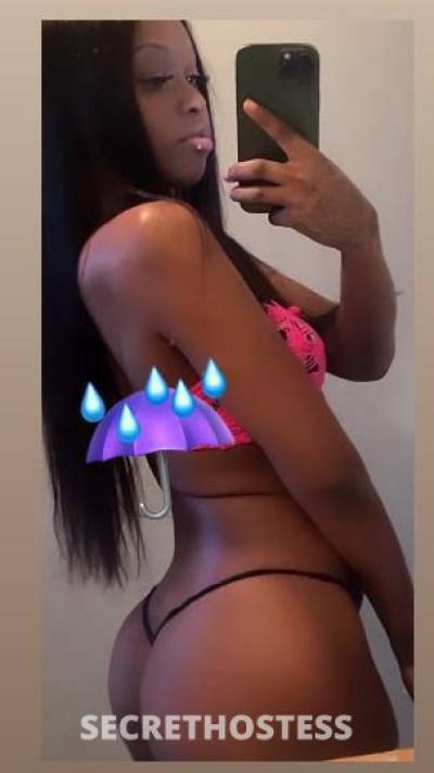 21Yrs Old Escort San Jose CA Image - 0