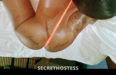 25Yrs Old Escort Tampa FL Image - 1