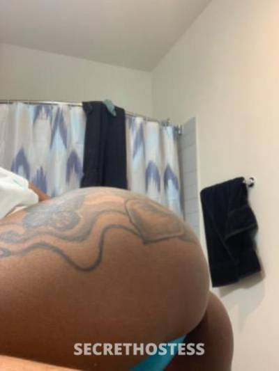 27Yrs Old Escort Houston TX Image - 2
