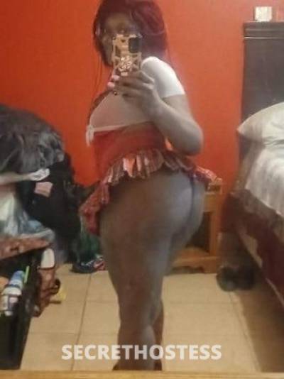 28Yrs Old Escort Chicago IL Image - 1