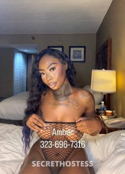 AMBER 24Yrs Old Escort Saint Louis MO Image - 1