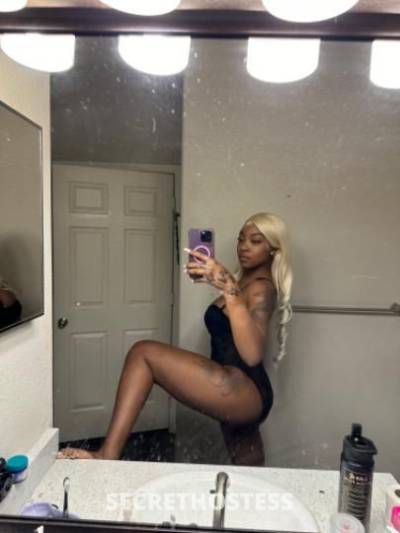 Allyana 23Yrs Old Escort Yuma AZ Image - 2