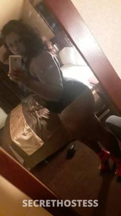 Chocolate 26Yrs Old Escort Lancaster CA Image - 0