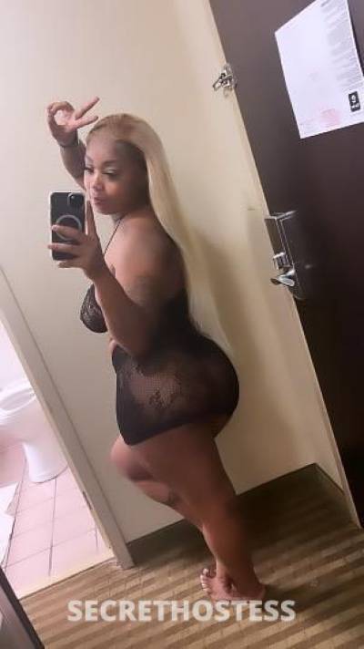 Daisy 24Yrs Old Escort Modesto CA Image - 2