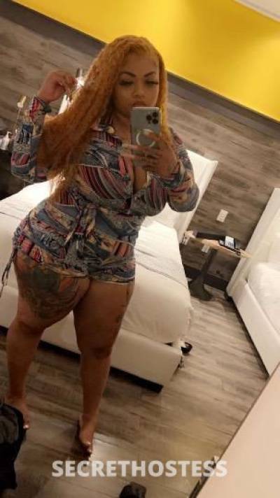 26 year old Escort in Tampa FL ..New Girl .Hot.available.Real &amp; Ready 4 Hookup.. 
