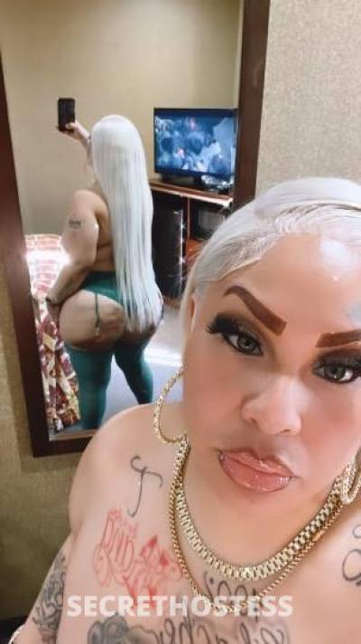 27 year old Latino Escort in Lancaster CA .THE BEST SEXY THROAT GOAT IN TOWN .. MUST SEE . UPSCALE 