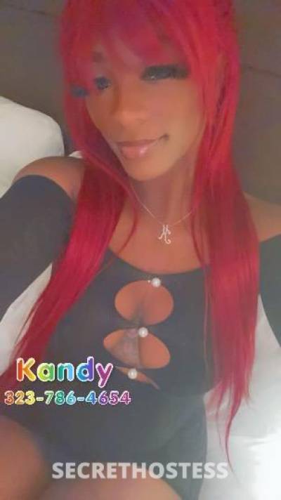 Kandy 28Yrs Old Escort Central Jersey NJ Image - 1