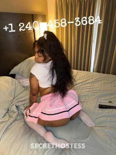 Kiko 26Yrs Old Escort Northern Virginia DC Image - 2