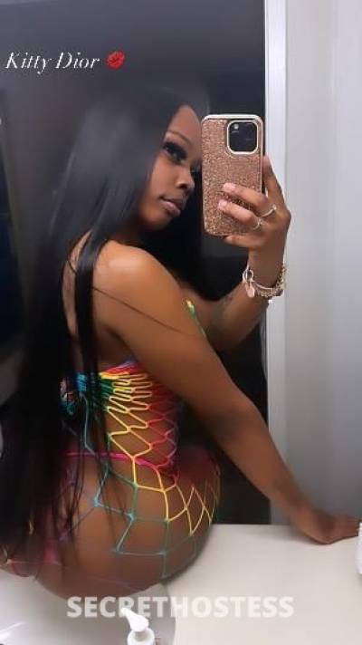 Kitty😻 25Yrs Old Escort Baton Rouge LA Image - 1