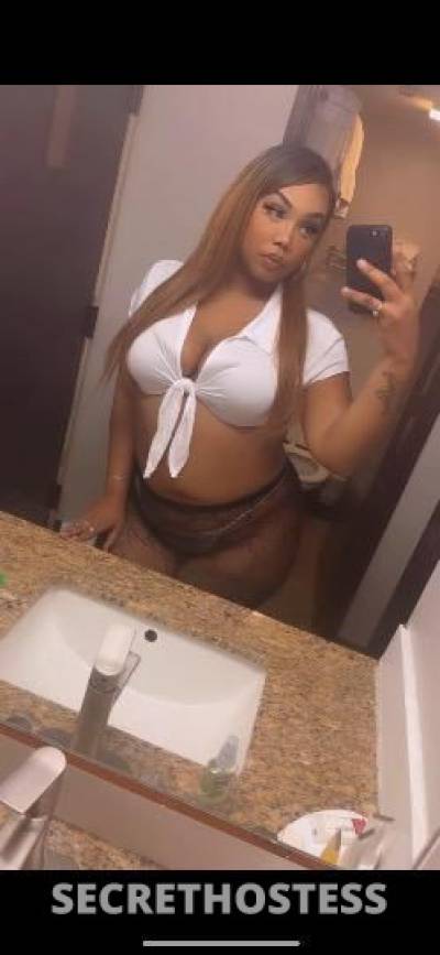 Lia 23Yrs Old Escort Concord CA Image - 2