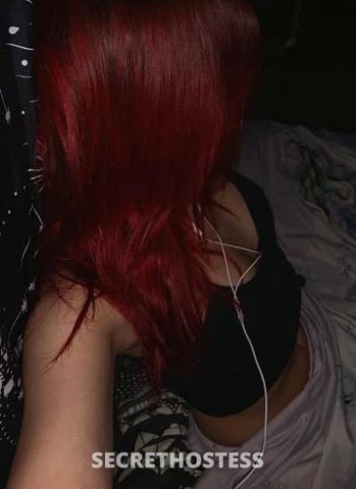 Lulú 22Yrs Old Escort Northern Virginia DC Image - 0