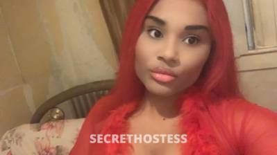 Maria 23Yrs Old Escort South Jersey NJ Image - 1