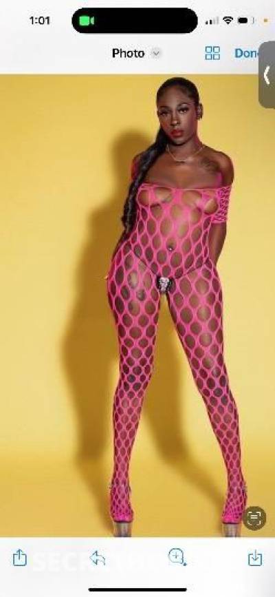 MissCoco 23Yrs Old Escort Brooklyn NY Image - 1