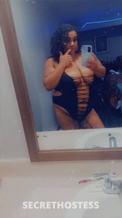 Nikkipleasures 28Yrs Old Escort Oakland CA Image - 1