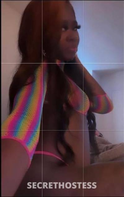 Nini 23Yrs Old Escort Concord CA Image - 1