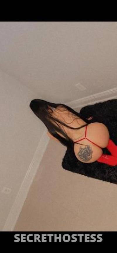 Paula 25Yrs Old Escort Tampa FL Image - 1