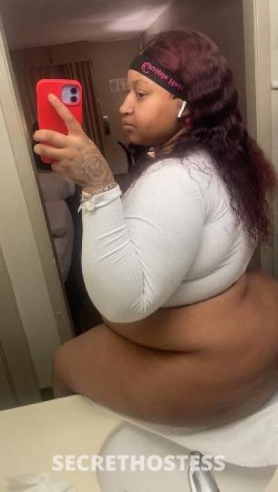 Phatma 23Yrs Old Escort Shreveport LA Image - 2