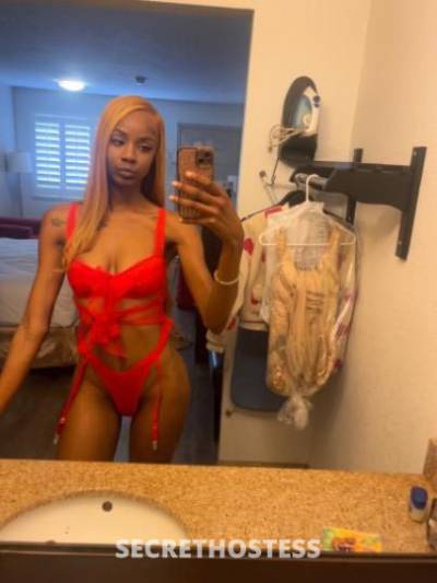 REMY🍷 25Yrs Old Escort Phoenix AZ Image - 1