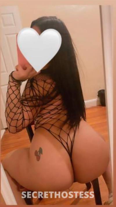 Rose 25Yrs Old Escort Bronx NY Image - 2