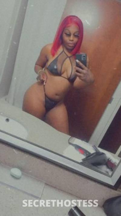 Stephanie 23Yrs Old Escort Raleigh-Durham NC Image - 2