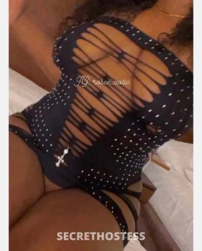 rose 24Yrs Old Escort Baltimore MD Image - 1