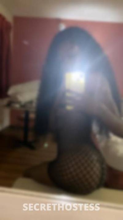 21Yrs Old Escort Sacramento CA Image - 0