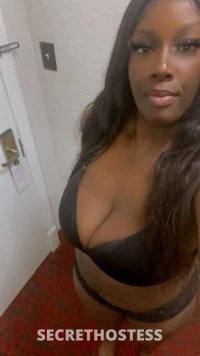 23Yrs Old Escort Houston TX Image - 1