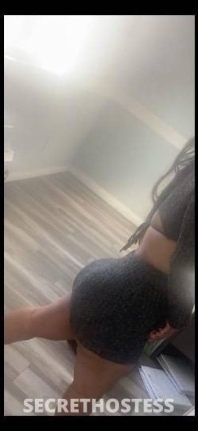 25Yrs Old Escort Los Angeles CA Image - 4