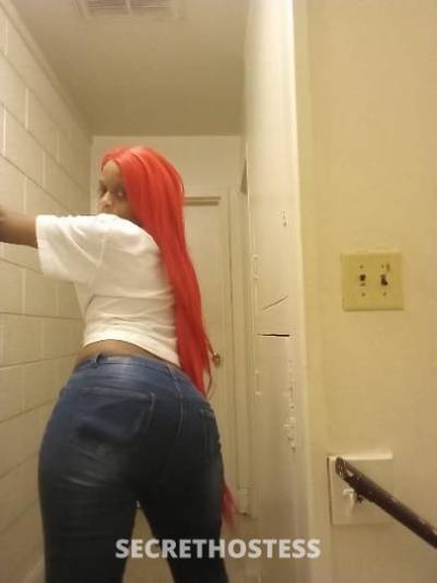 37 year old Escort in Raleigh-Durham NC ABSOLUTELY BEAUTIFUL BODY &amp; NICE BOOTY