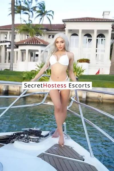 21 Year Old American Escort Manhattan NY Blonde - Image 5