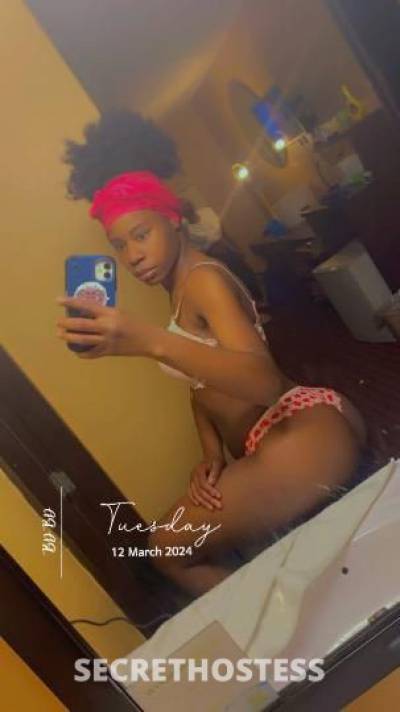 DreamDOLL 20Yrs Old Escort Minneapolis MN Image - 1