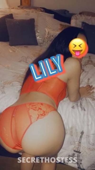 Lily 26Yrs Old Escort 162CM Tall Minneapolis MN Image - 0
