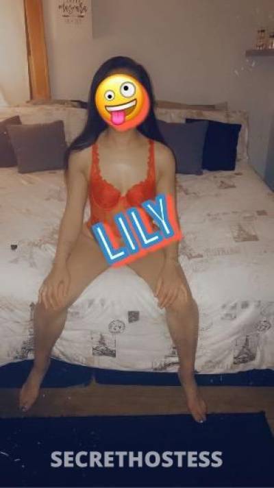 Lily 26Yrs Old Escort 162CM Tall Minneapolis MN Image - 2