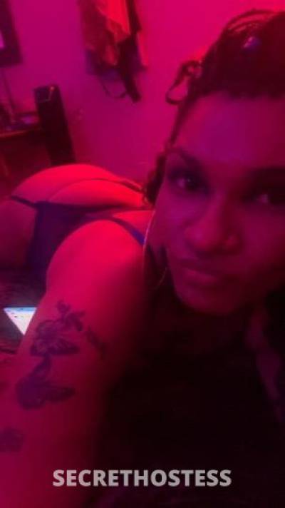 lolamonroe 30Yrs Old Escort Killeen TX Image - 2